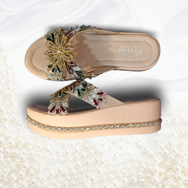 Ladies Fancy Shoes
